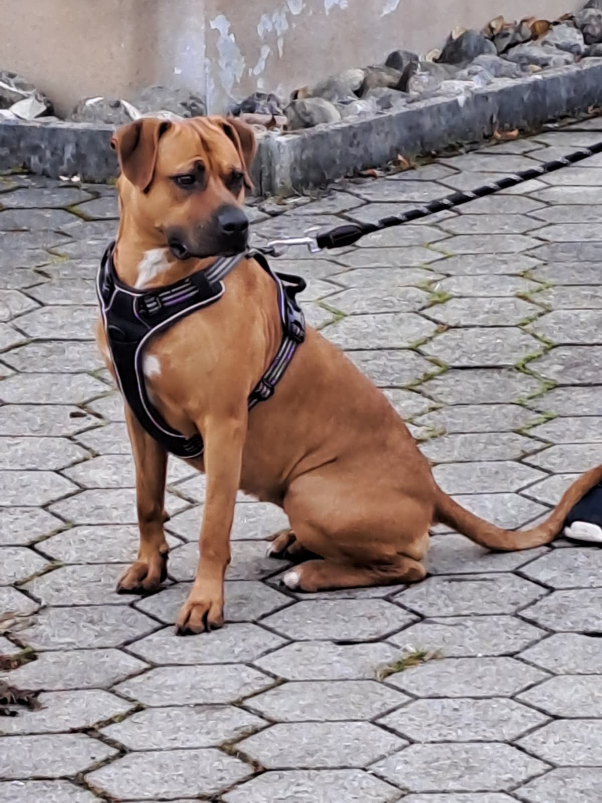 PHOTO-2025-11-25-06-46-53