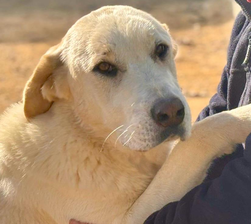 PHOTO-2025-02-10-03-14-26