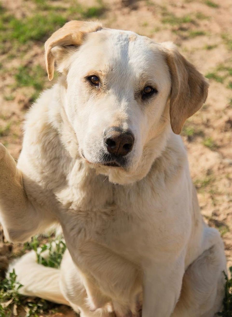 PHOTO-2025-02-10-03-15-16