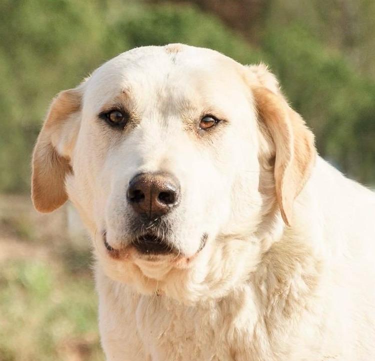 PHOTO-2025-02-10-03-18-54