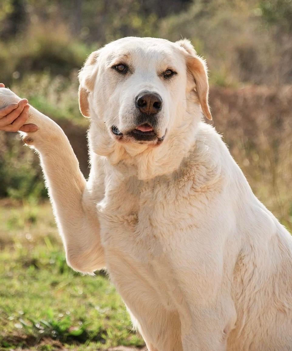 PHOTO-2025-02-10-03-19-06