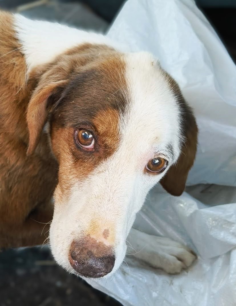 PHOTO-2025-05-28-19-35-20_Original