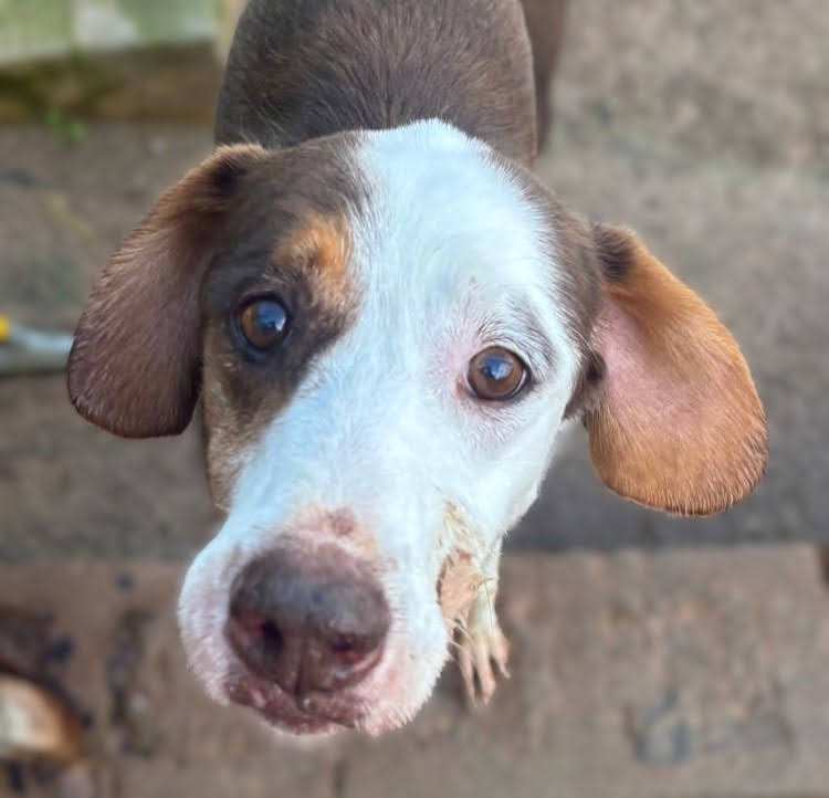 PHOTO-2025-11-11-12-33-20_Original