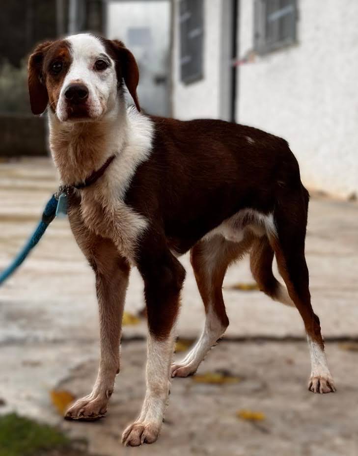 PHOTO-2025-11-11-16-53-58_Original