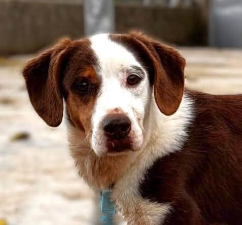 PHOTO-2025-11-11-16-53-59_1-2_Original