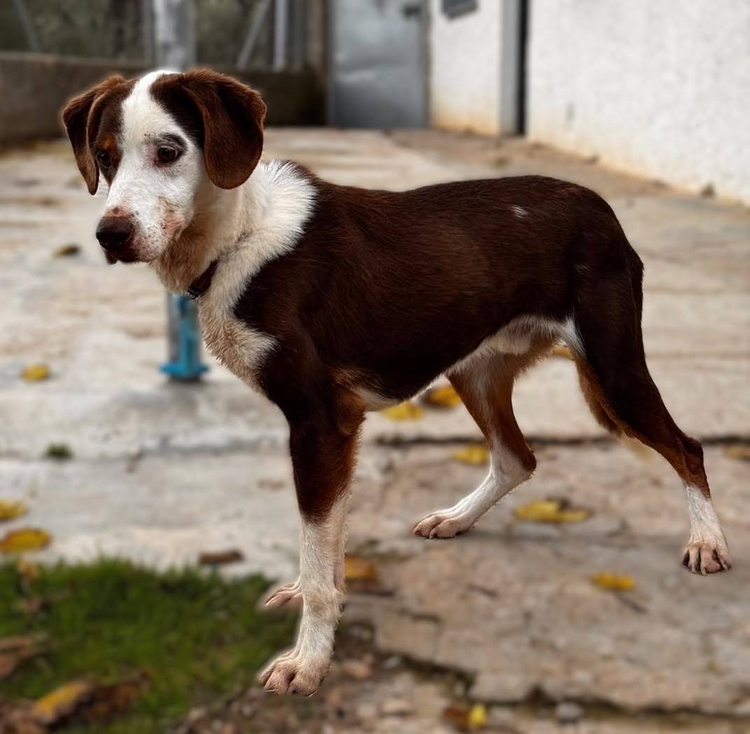 PHOTO-2025-11-11-16-53-59_Original