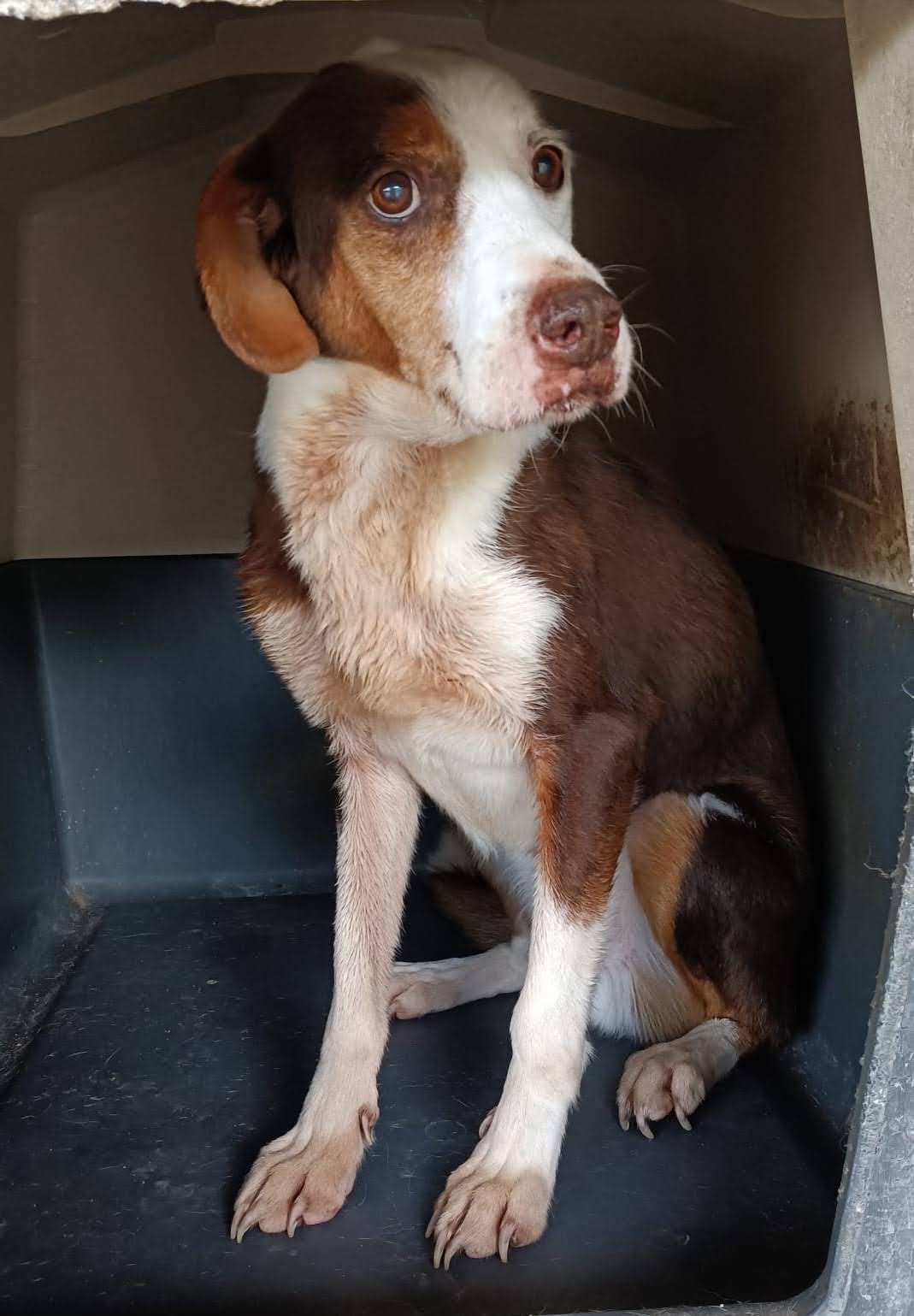 PHOTO-2025-11-11-16-56-39_1_Original