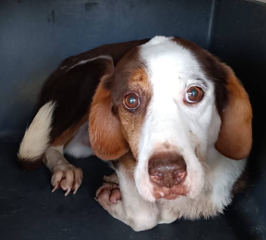 PHOTO-2025-11-11-16-56-39_Original