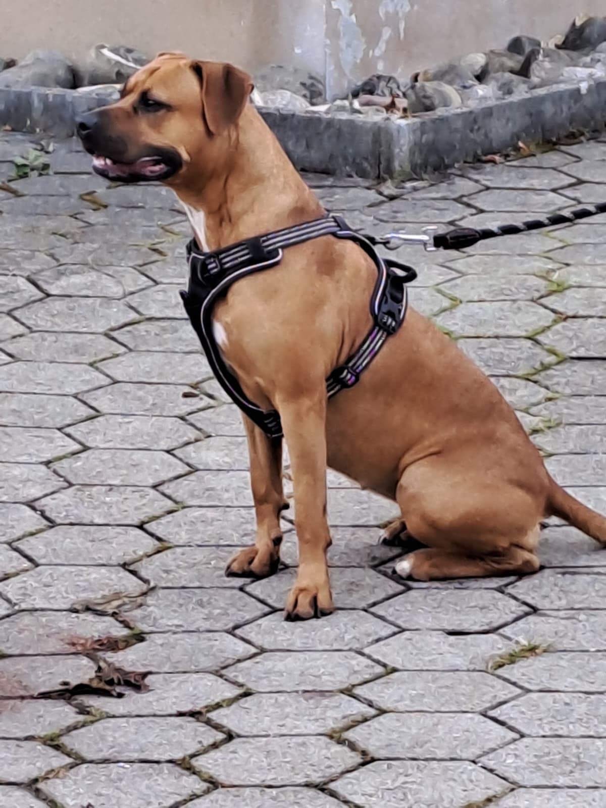 PHOTO-2025-11-25-06-46-47 2