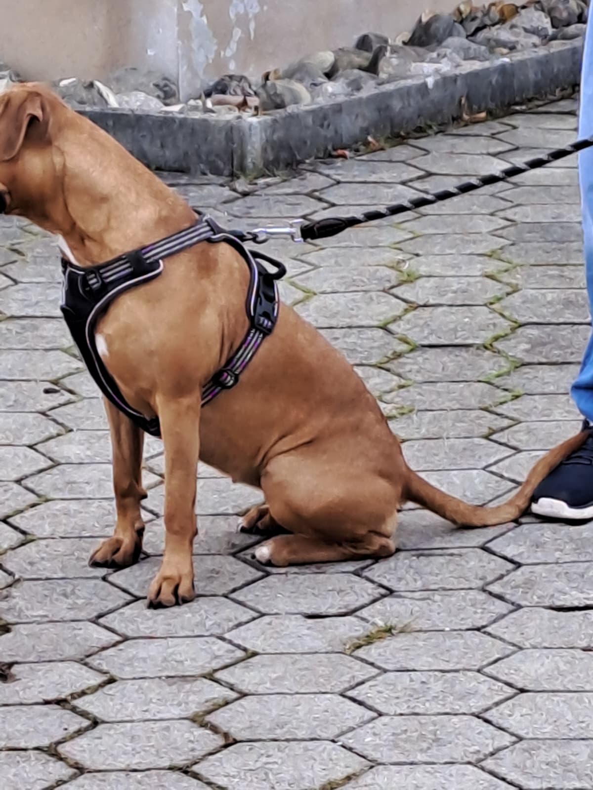 PHOTO-2025-11-25-06-46-47 3