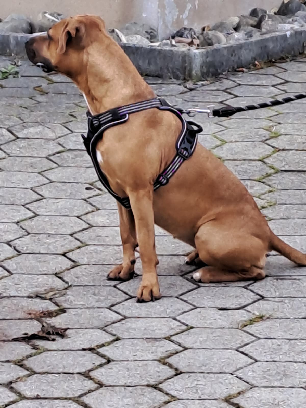 PHOTO-2025-11-25-06-46-47