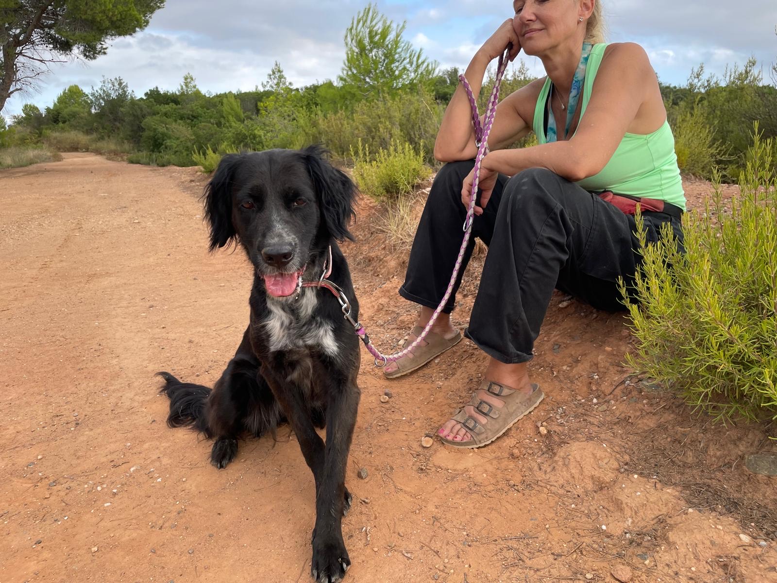 03ffda9c-9b81-4b26-9187-06f64b54916e