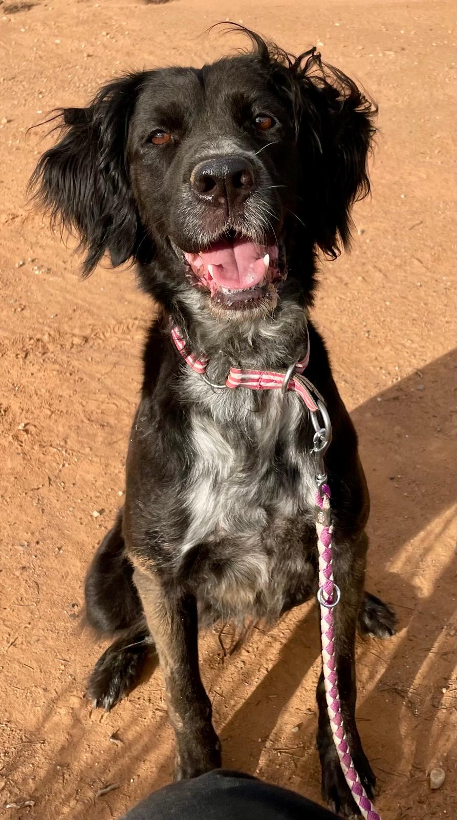 0a99ba1a-3e40-4827-84d7-1953ccd138df