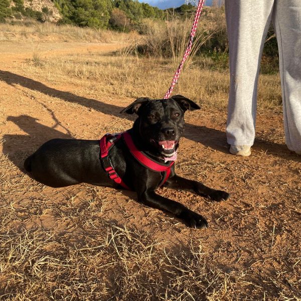 148531d0-6956-45b5-8add-958c8be58dcb