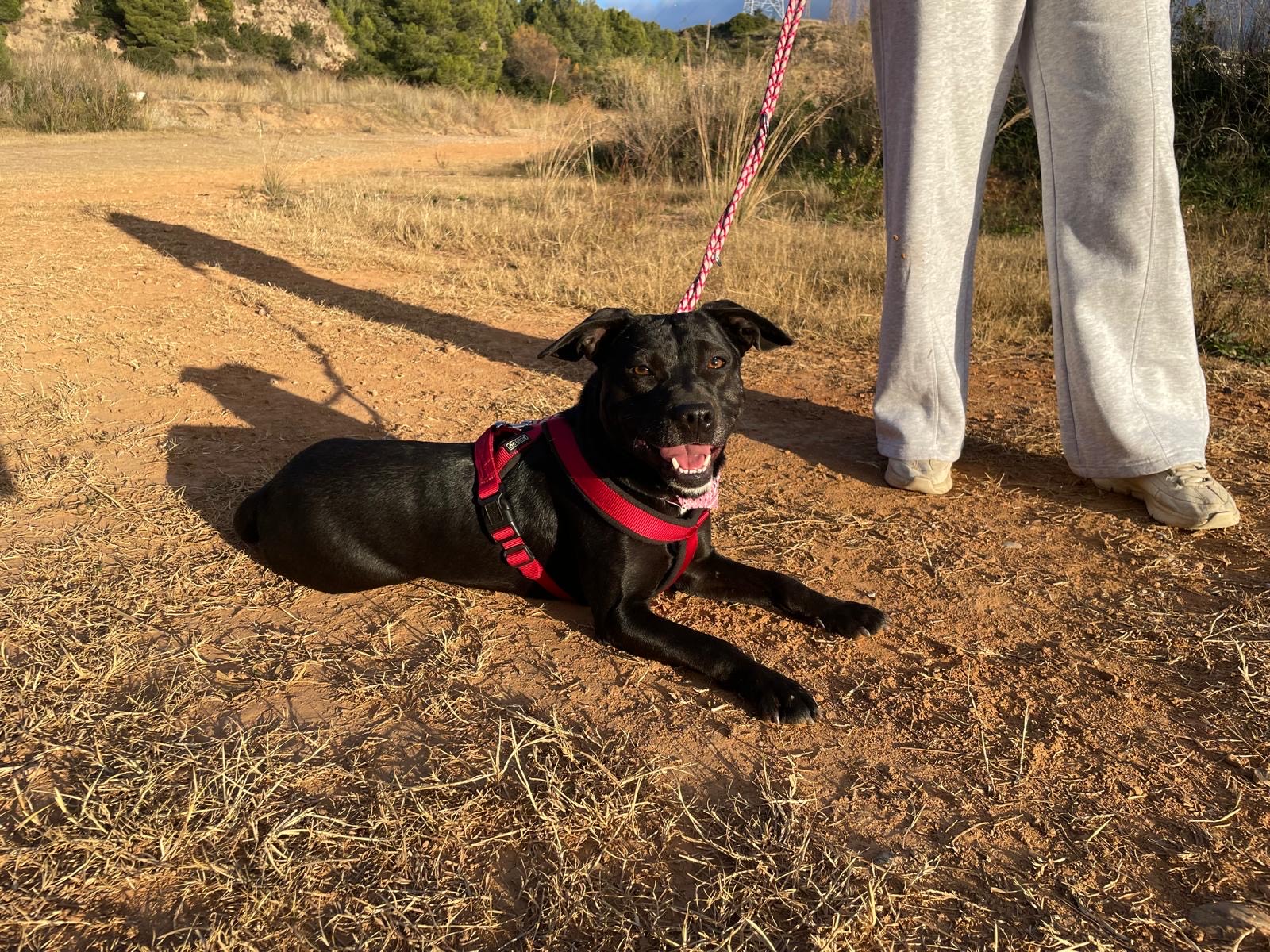 148531d0-6956-45b5-8add-958c8be58dcb