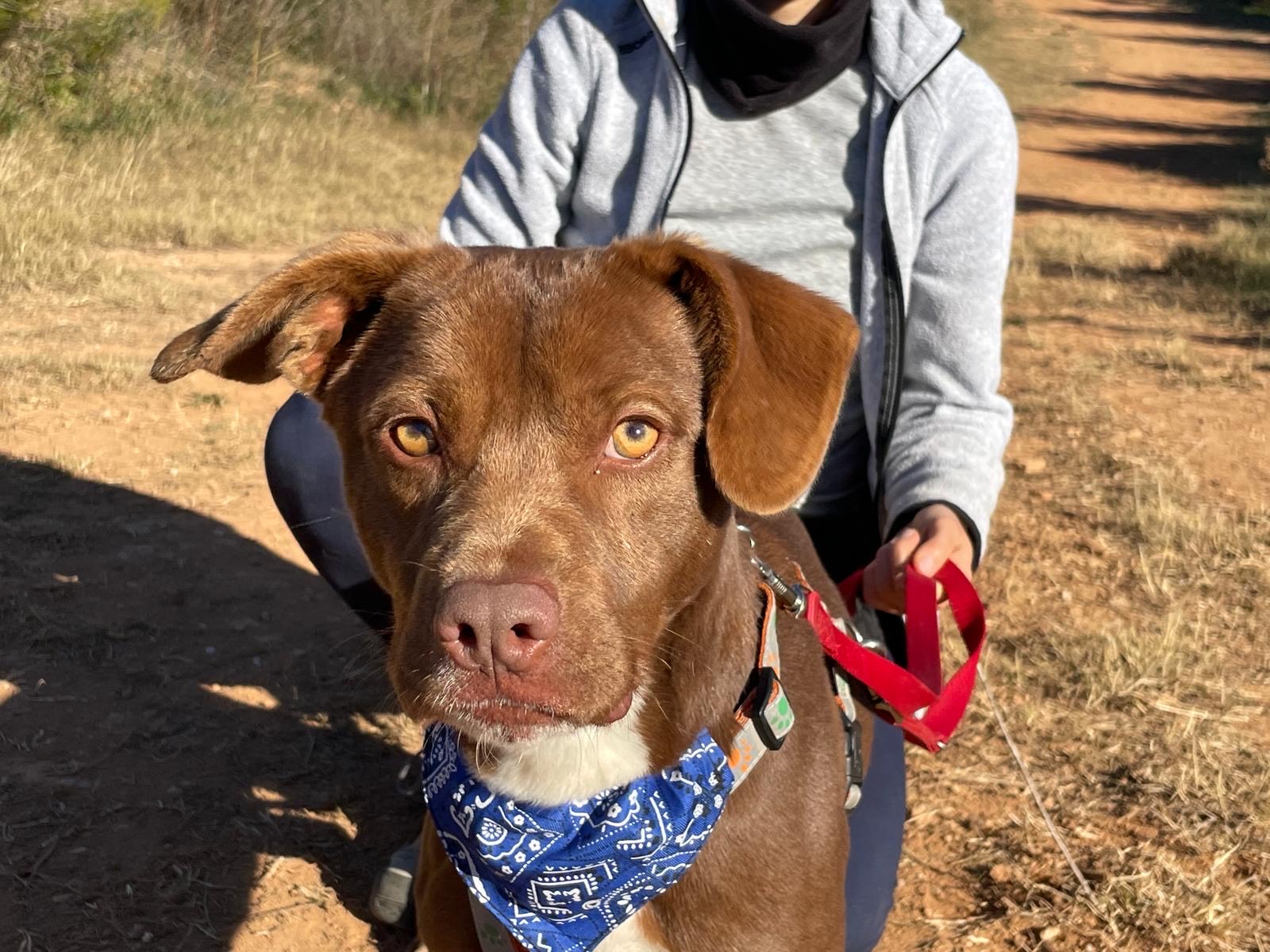 1c07c95c-4725-4992-a328-b1fcf3fc1280