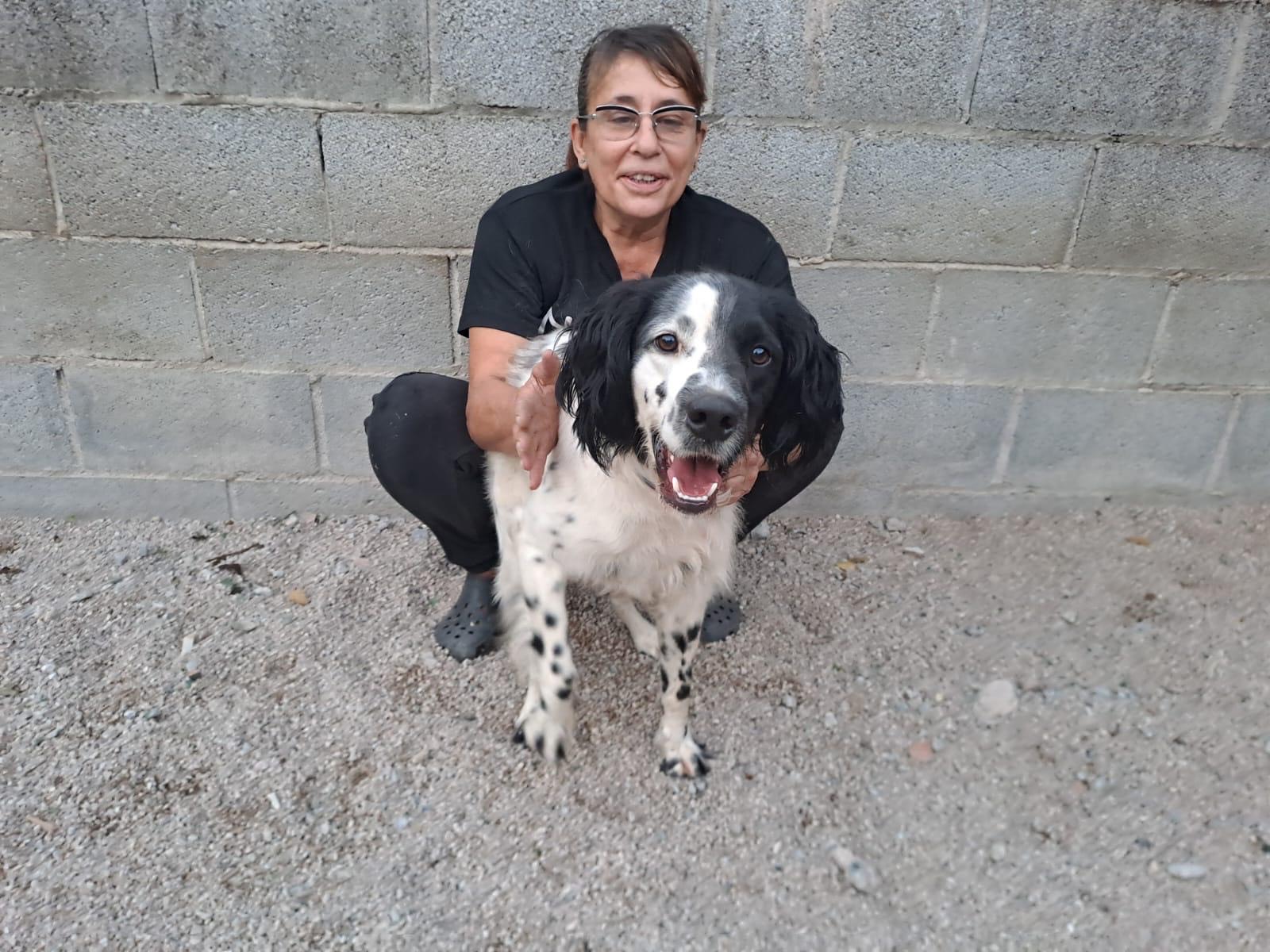 26e941f0-a668-4bd9-afcc-02e74d2b3036