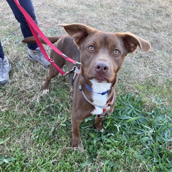 2feb81dc-81cd-4b6a-94fc-11bbba5365d0