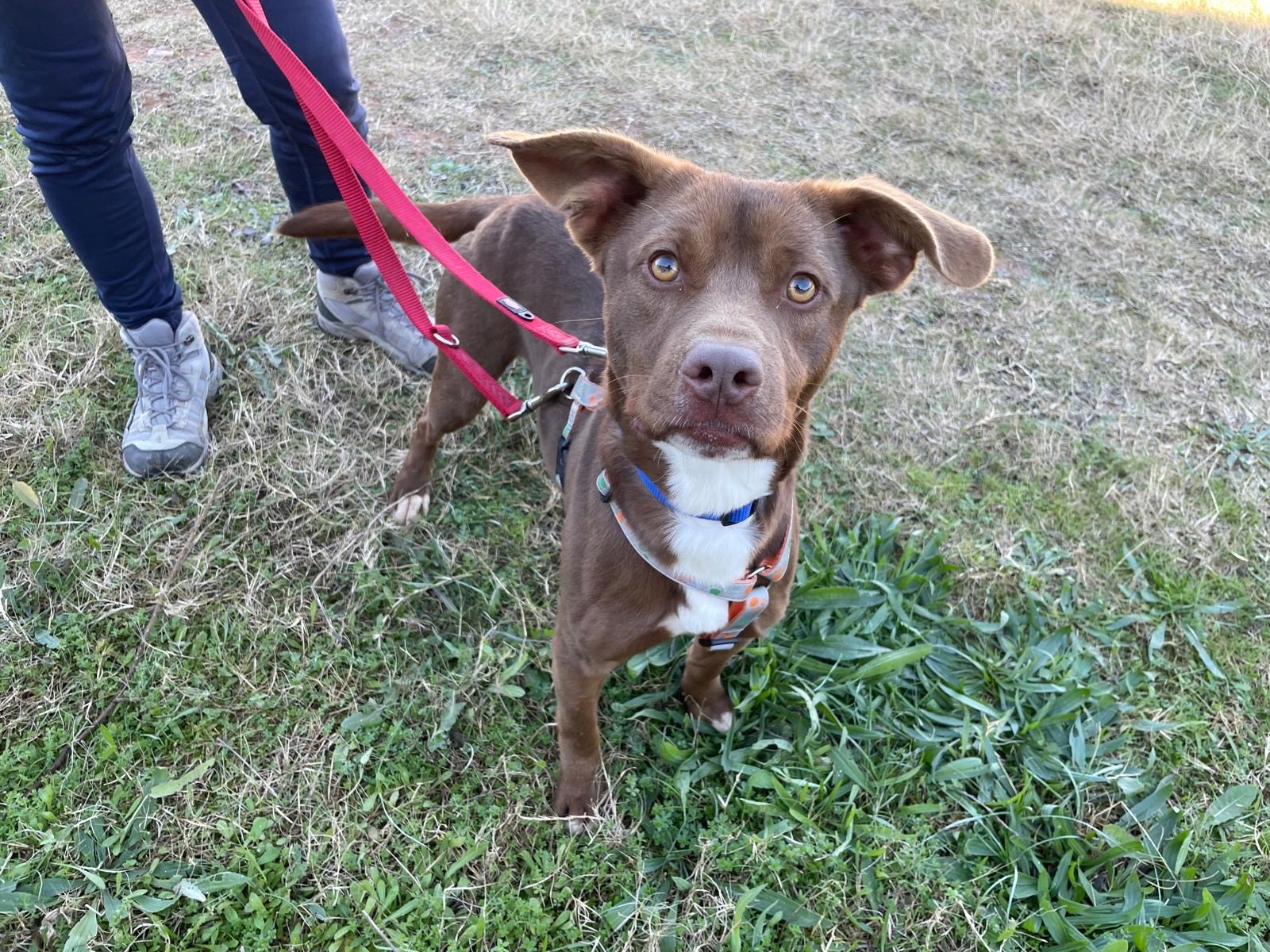 2feb81dc-81cd-4b6a-94fc-11bbba5365d0