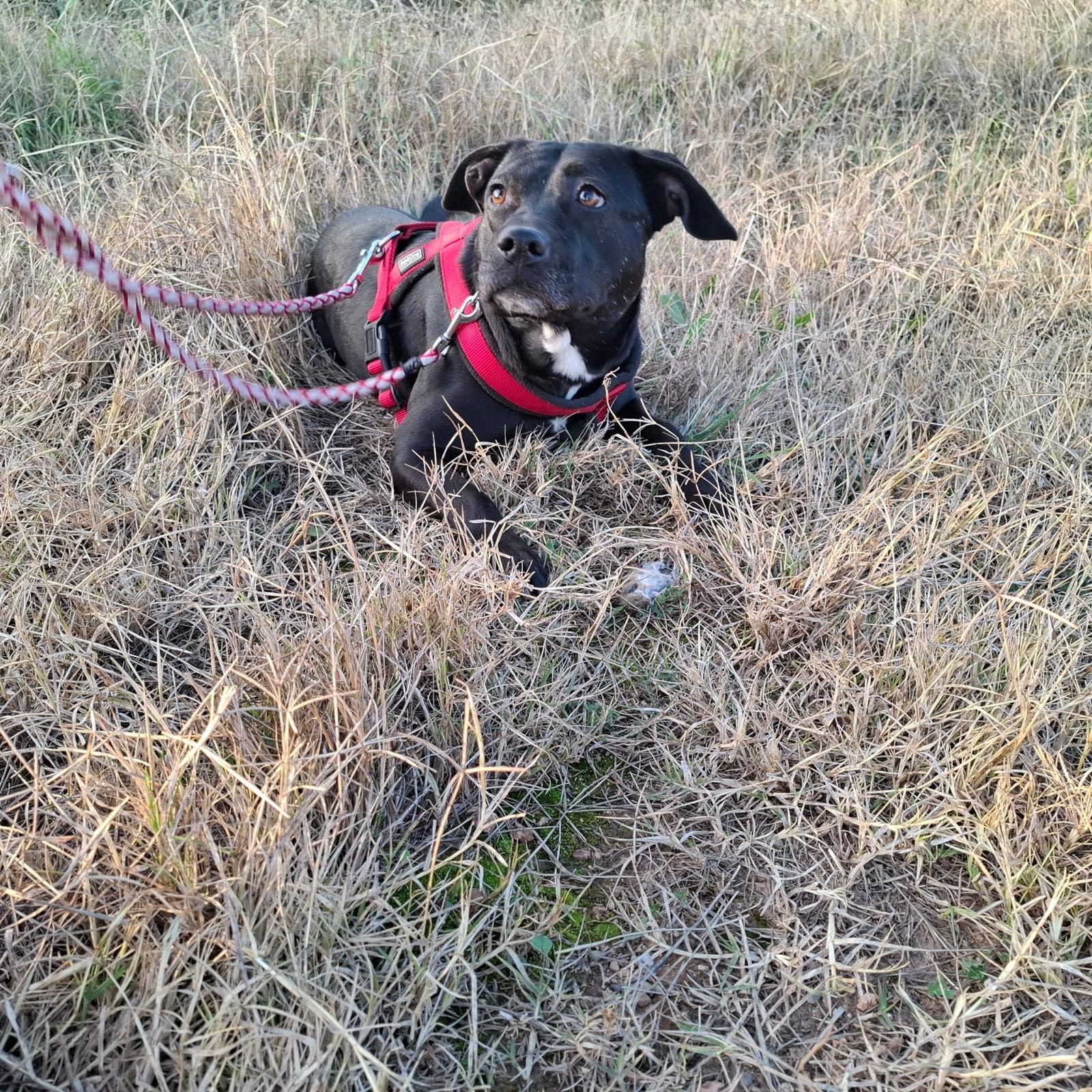 33299c1a-81f4-452f-92c8-c18e4af15450