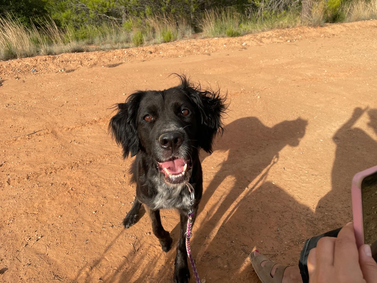 442b80e6-0946-43f0-81cc-5aa437bbc8f7