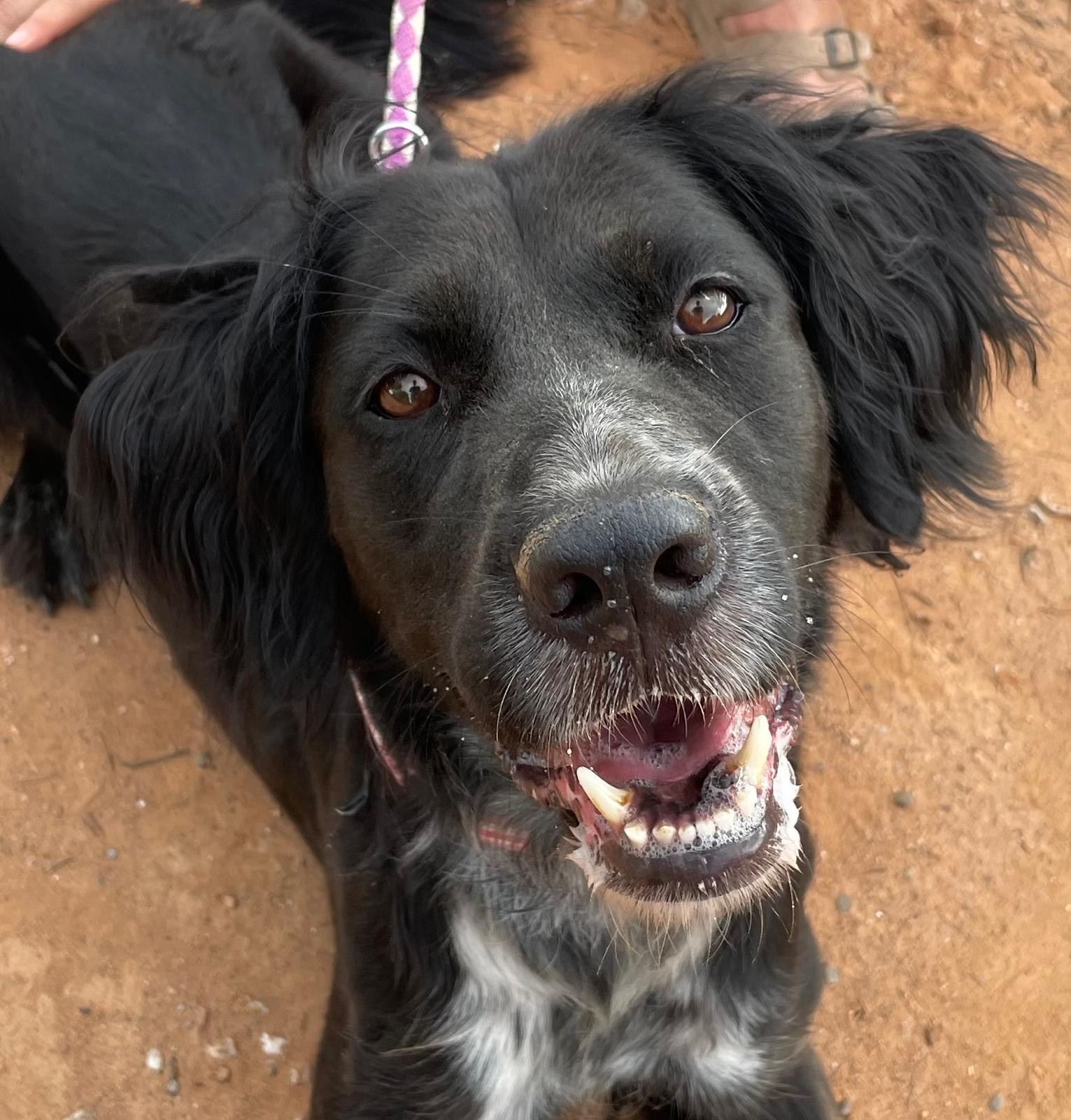 5dadf93e-4c19-44d0-83bf-ecdad949c3f9