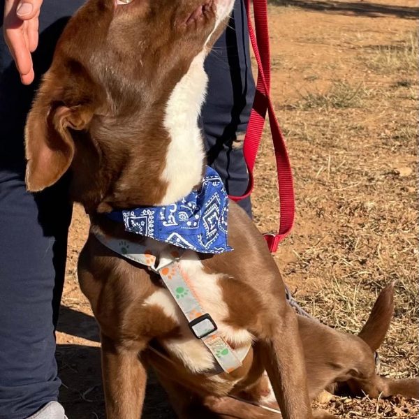 9d1c398a-3e72-4c36-b98c-2b07c38a306d