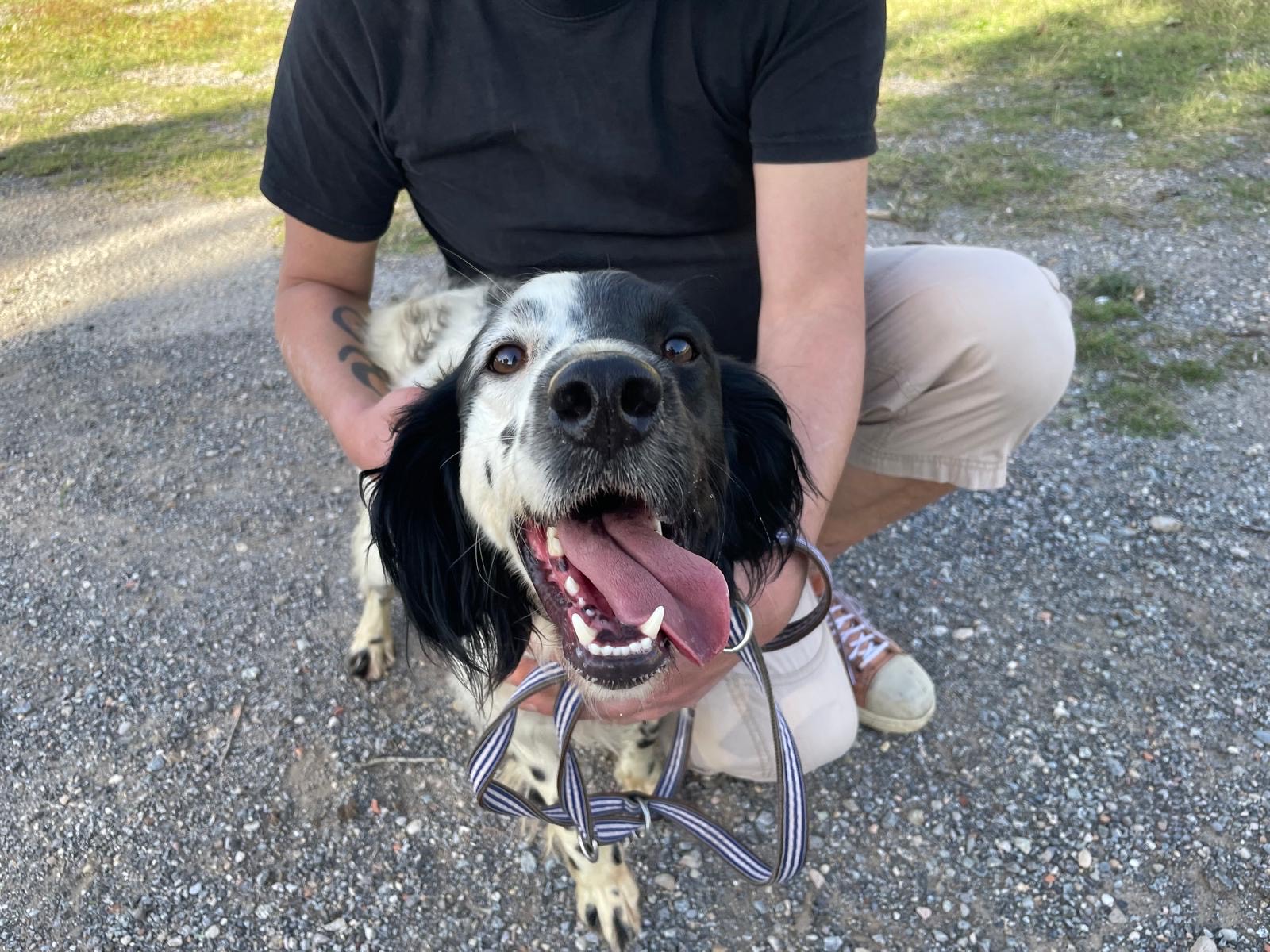 b0b72d8c-4d38-4dca-b0be-def409eb530e