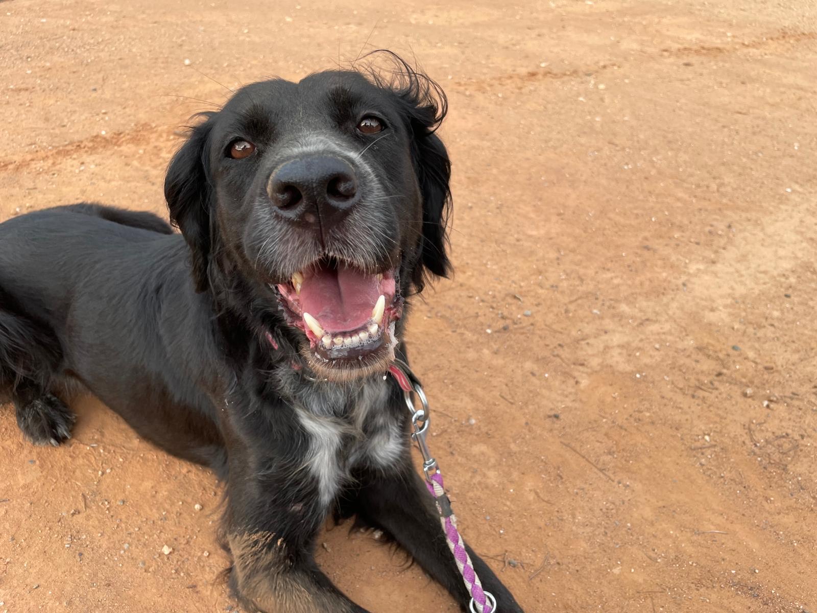 b4d49bb3-7d49-4f90-9f58-3418d1dbab99