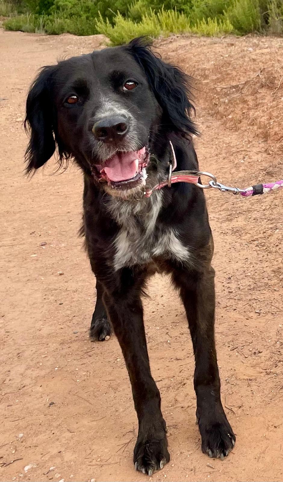 b63d2f91-238d-48b4-aead-afe13896254b