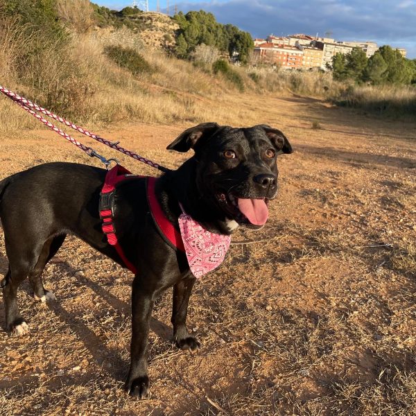 b89db439-ae42-45b9-9a6f-b96758dc04d9