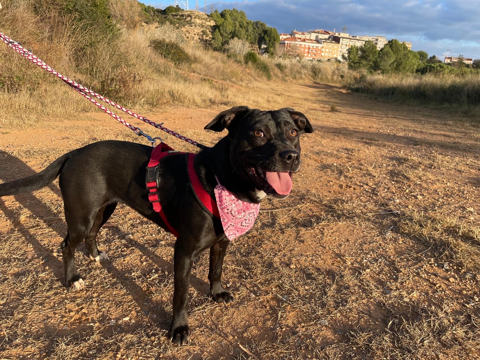 b89db439-ae42-45b9-9a6f-b96758dc04d9