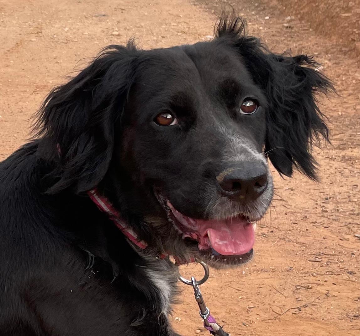 c5e9df1d-cf21-43ce-a5ea-e1a3d465811b