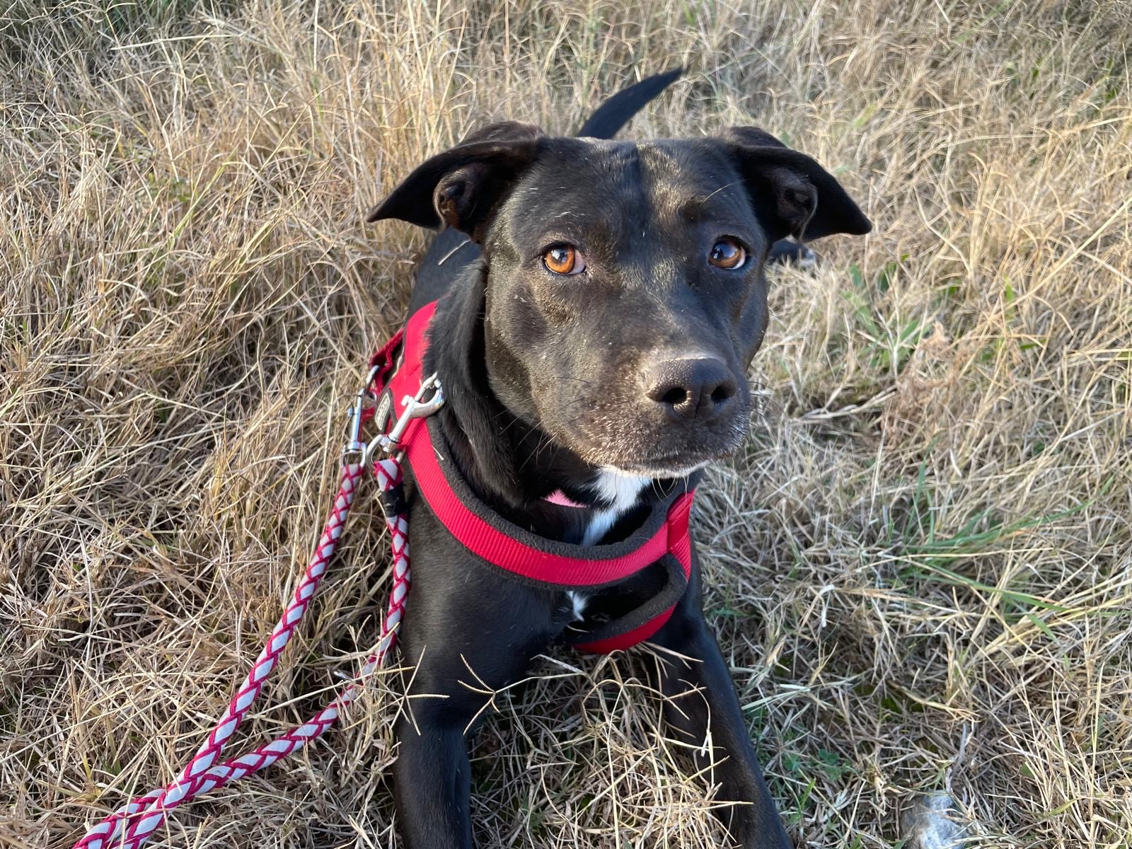 d4af7d75-74f2-4bce-90d4-25eea6eb7609