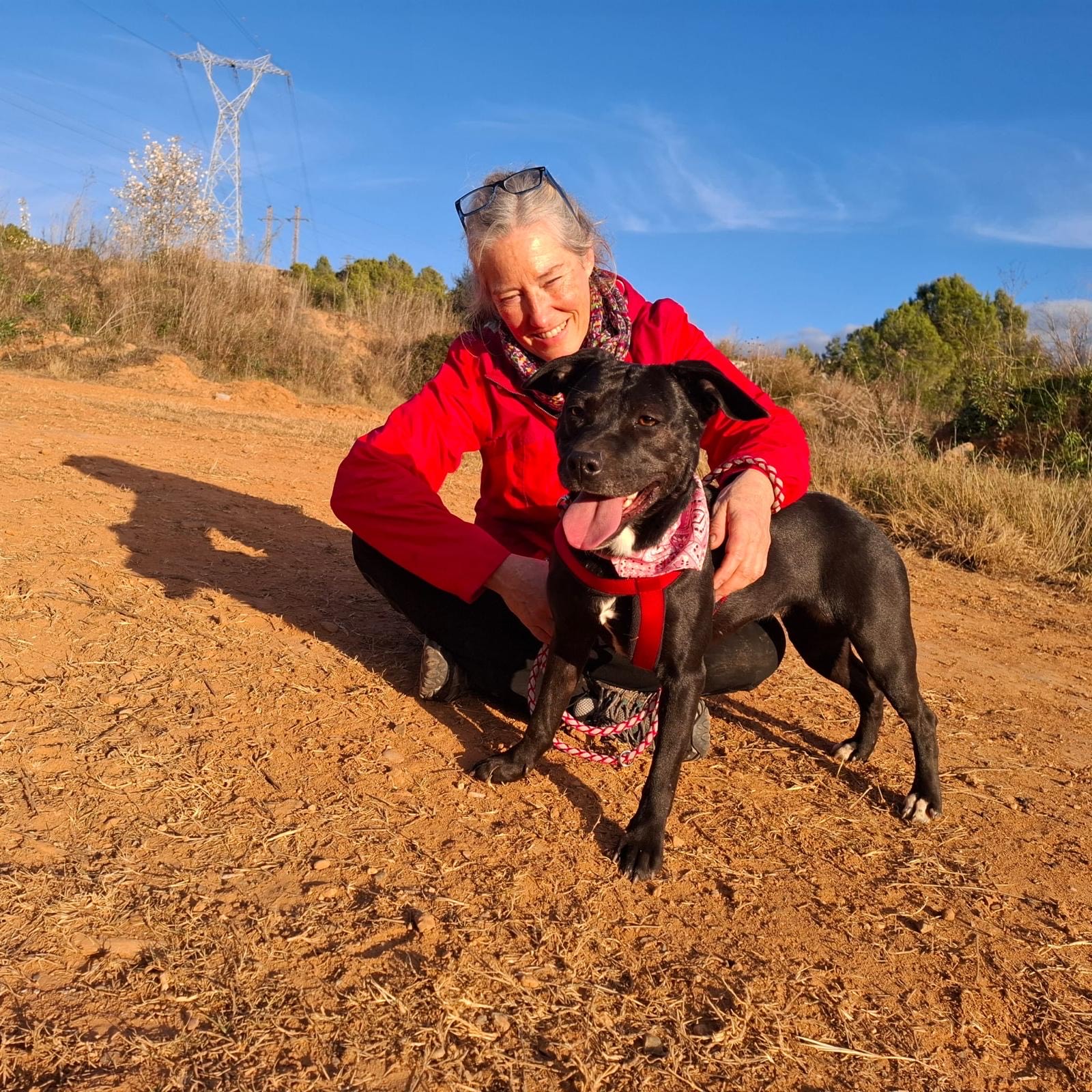 d5d4270d-77df-4e97-ae39-b2ffb9a47e0f