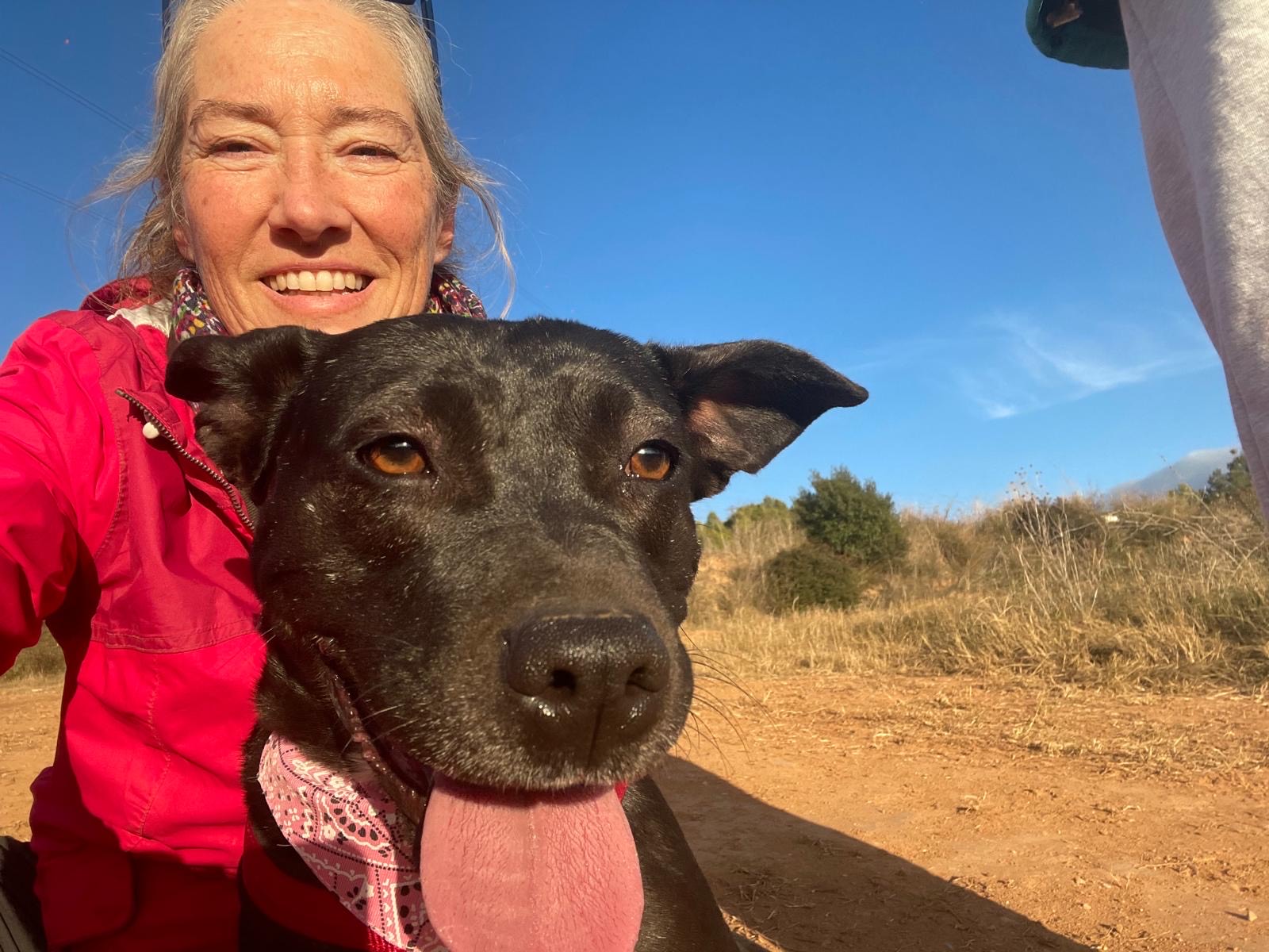 d5fbb8da-18a4-4527-a4ff-883ec0249485