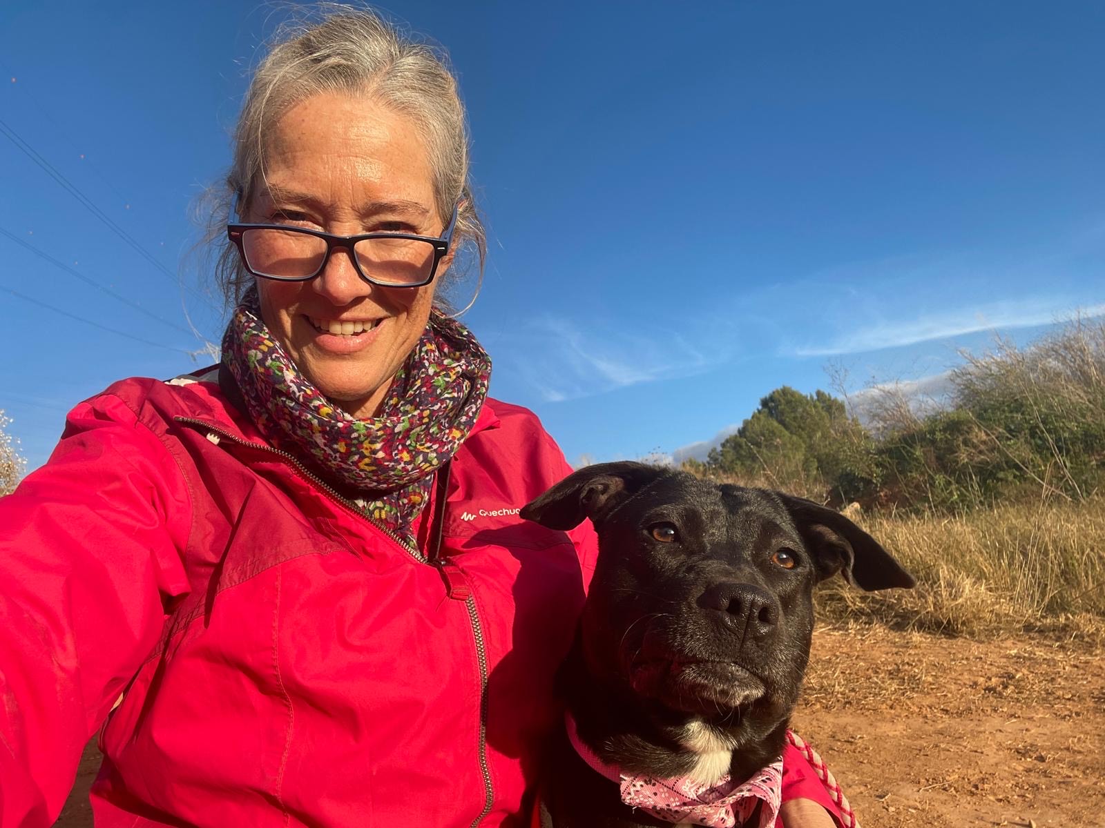 f0d4e6ec-5296-40d4-985d-7c66400f7bf4