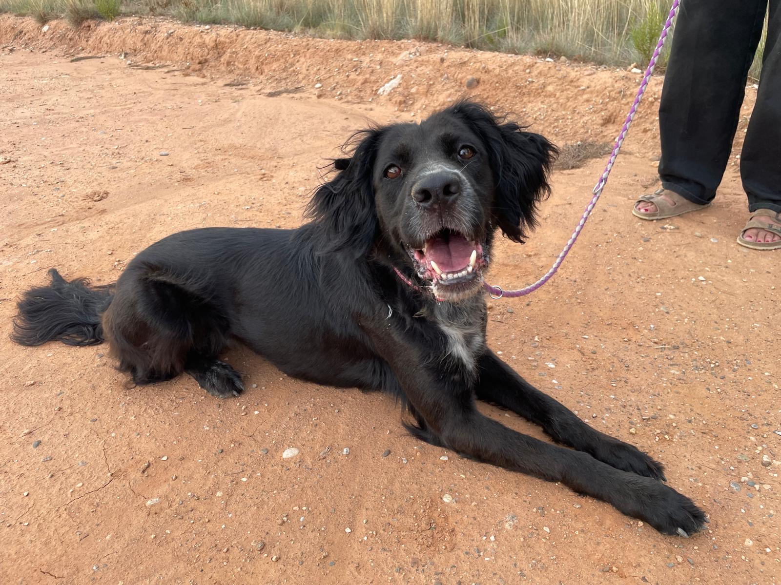 f53a9695-2e95-4130-8be8-e7ca08dad3f7