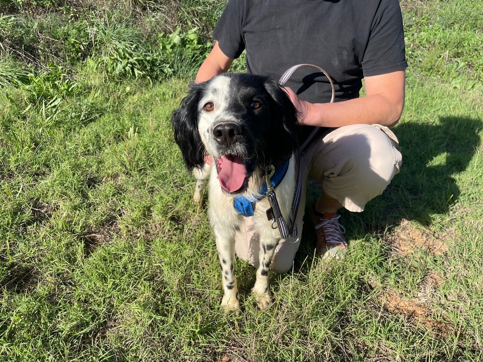 fa280ecb-1150-4af0-afba-39ac67304972