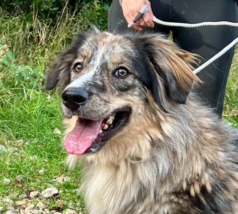 IMG_7821_Original (1)