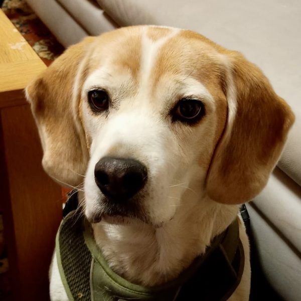 73308f1a-9e2f-4420-95e1-a0db8a264ef3