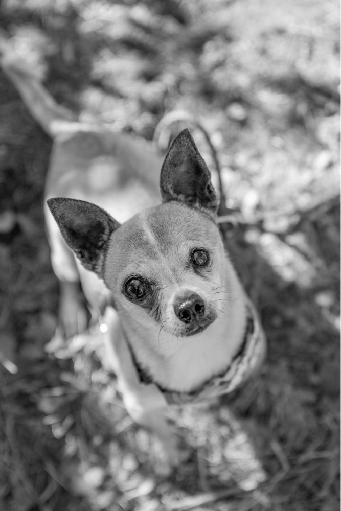 PHOTO-2026-01-12-21-56-51