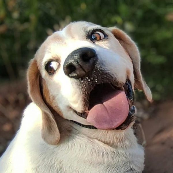 PHOTO-2026-02-08-03-03-14