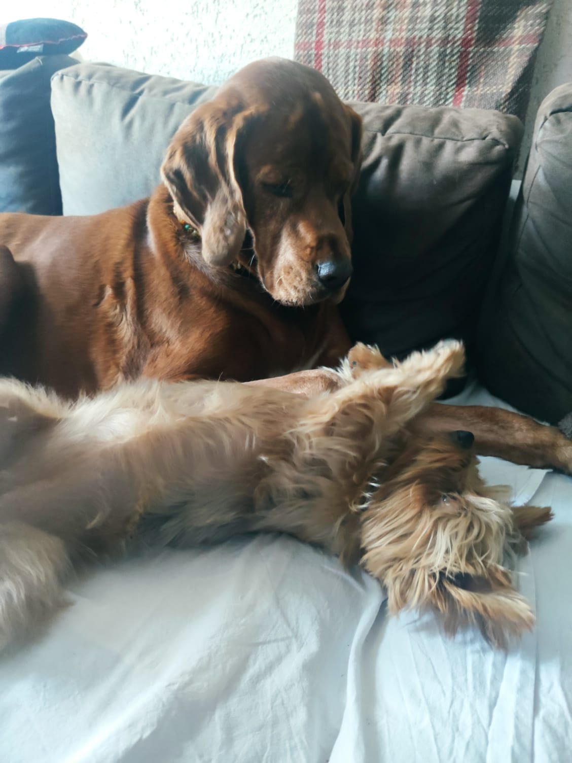 PHOTO-2026-02-13-19-26-21 2