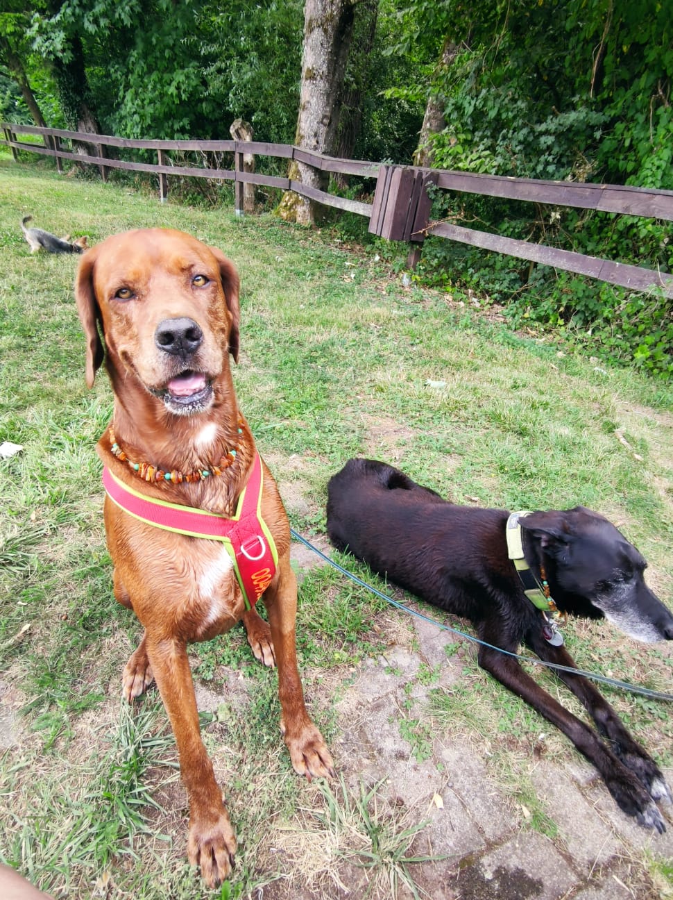 PHOTO-2026-02-13-19-26-21