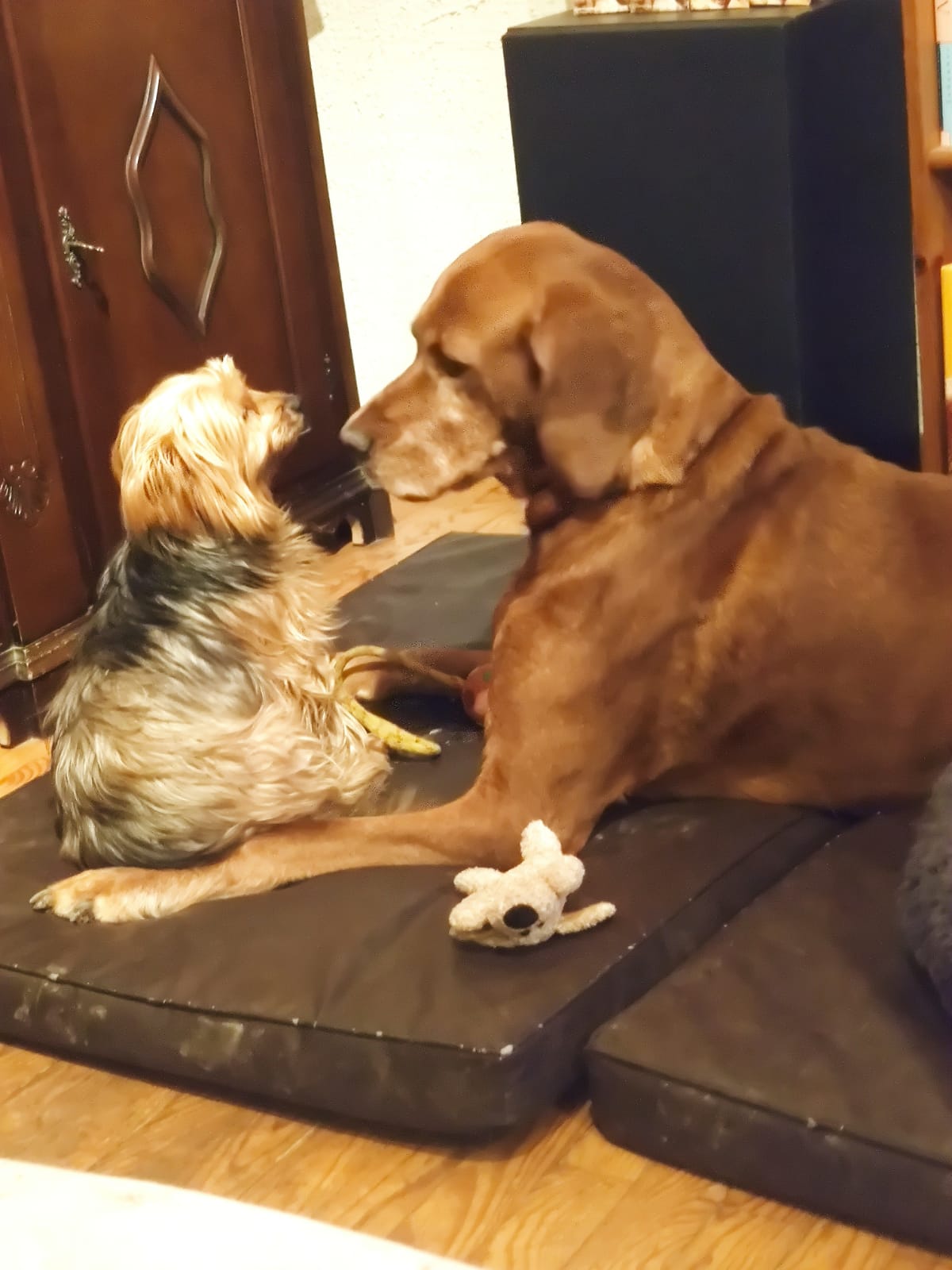 PHOTO-2026-02-13-19-26-22 2