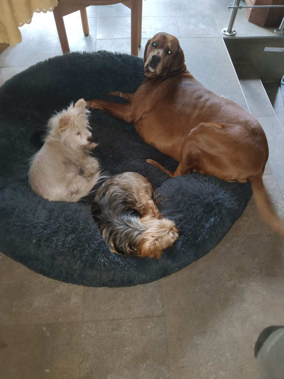 PHOTO-2026-02-13-19-26-22 3