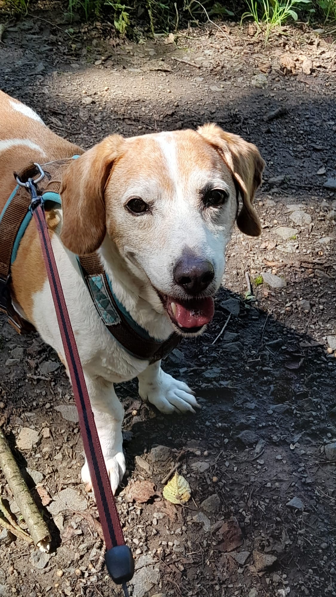 PHOTO-2026-02-25-14-09-15 2