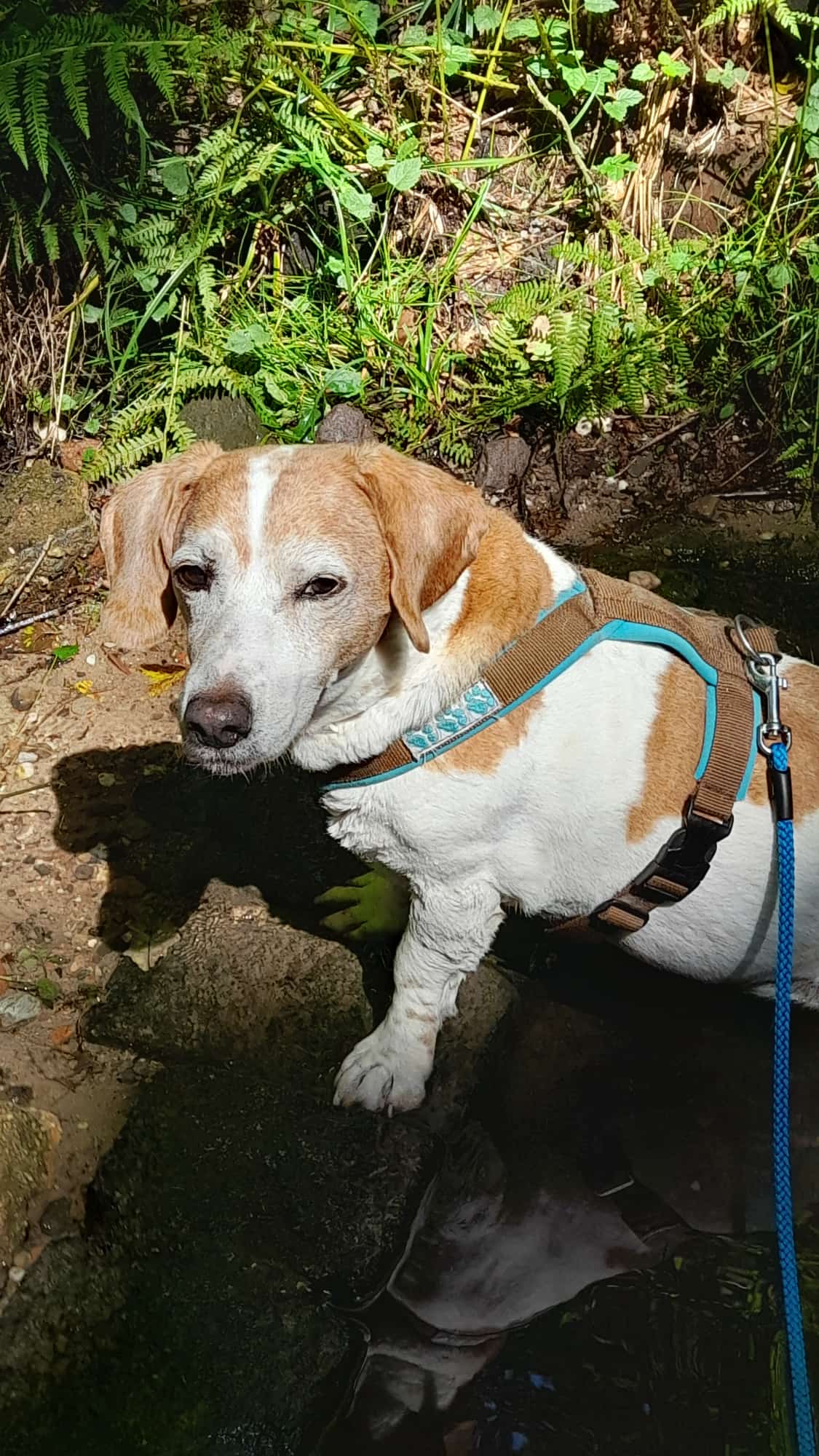 PHOTO-2026-02-25-14-09-15