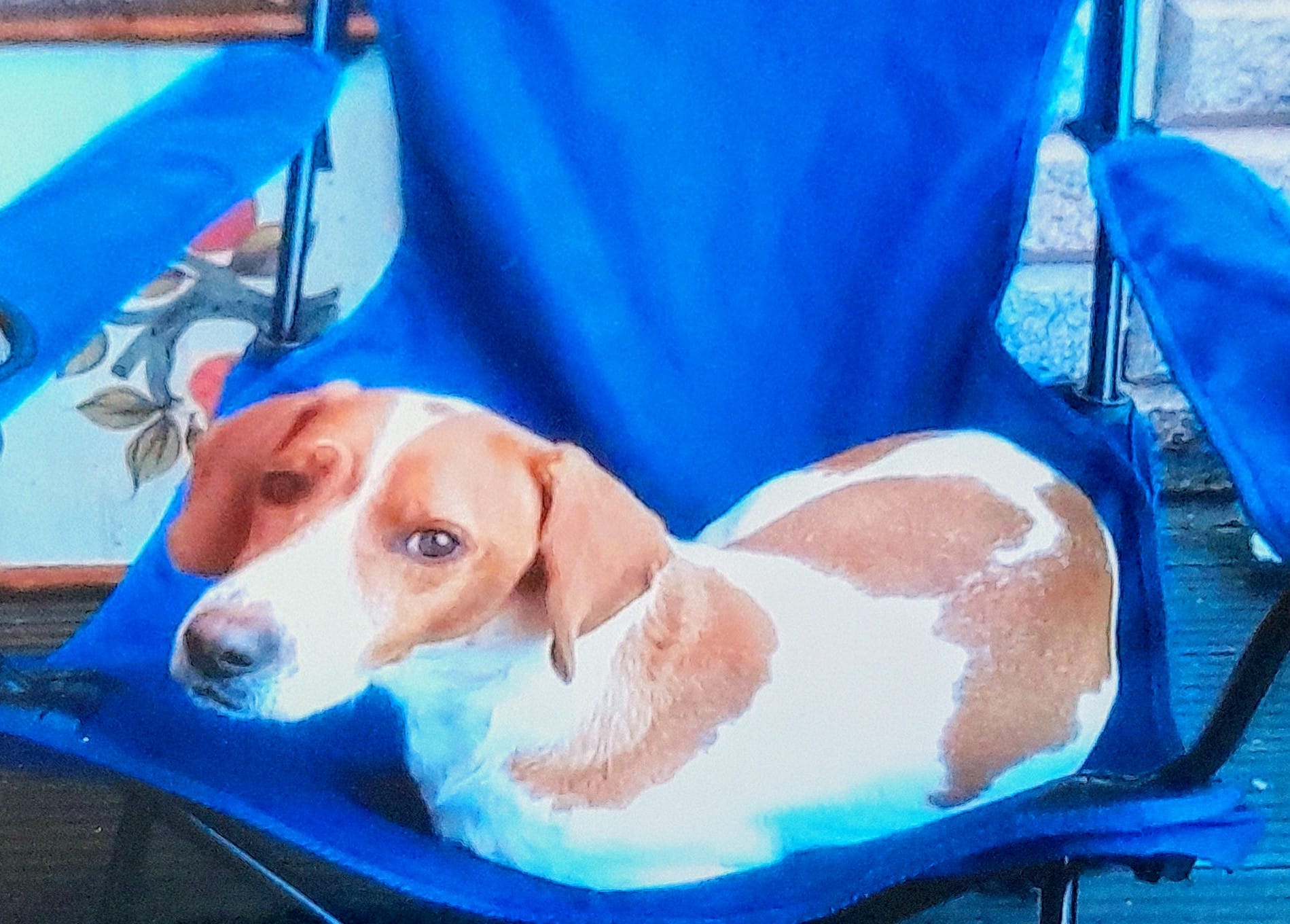 PHOTO-2026-02-25-14-09-16